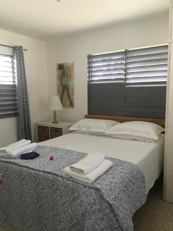 Ancella'S Garden Apartment-Beach-5Min Drive, 1 Hr Montego Bay, 25 Mins Ocho Rios, Continental Breakfast ランアウェイ・ベイ エクステリア 写真